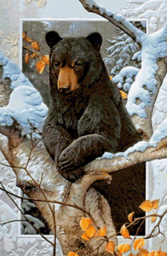 Медведь - животные, лес, медведи, медведь, снег, природа, осень - предпросмотр