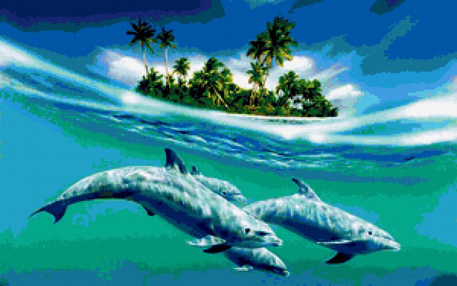 дельфины - дельфины - предпросмотр