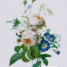 Схема вышивки «летний букет»