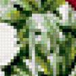 Предпросмотр схемы вышивки «разноцветье» (№406704)
