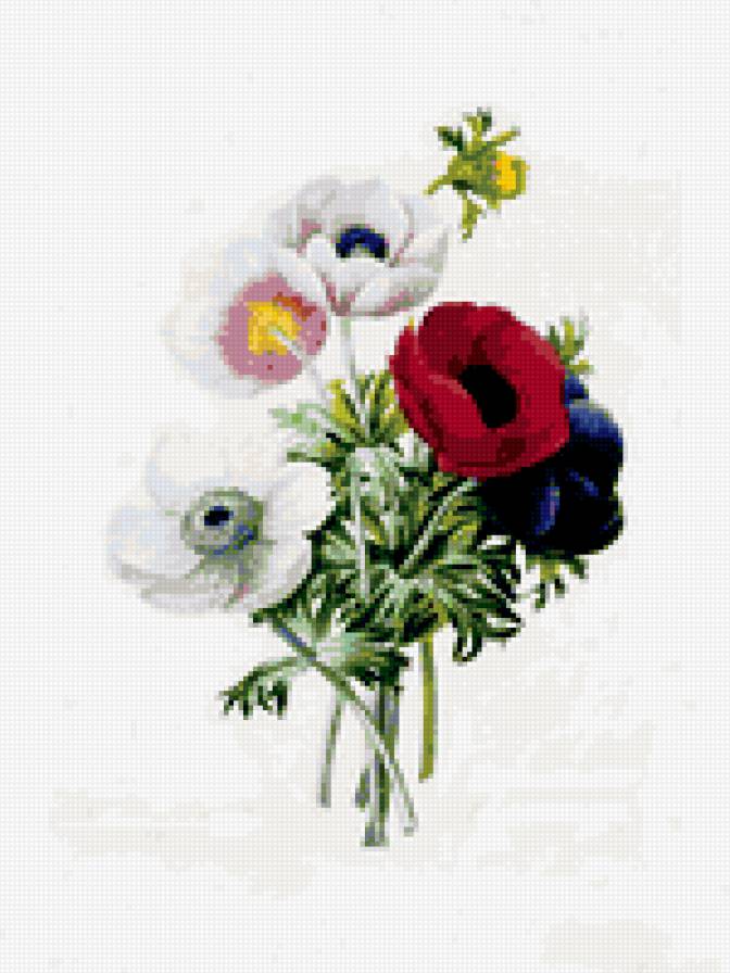 разноцветье - букет, цветы - предпросмотр