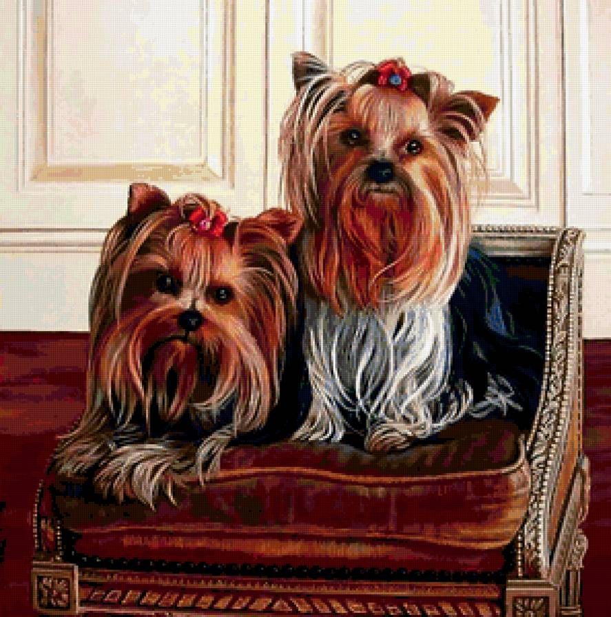 картина - животные - предпросмотр