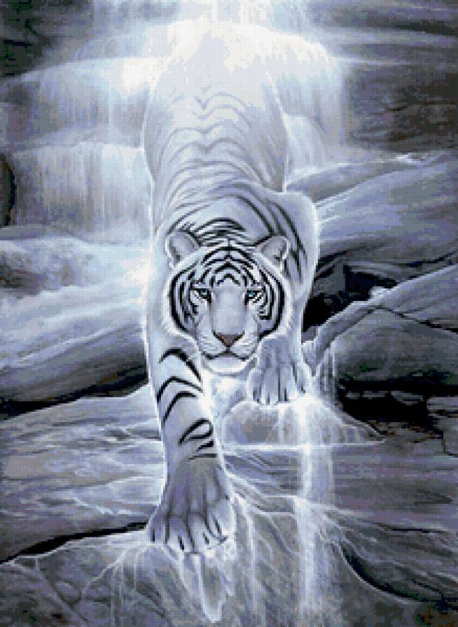 тигр из водопада - тигр, вода, взгляд, хищник, камни, фэнтези, гора, живопись - предпросмотр