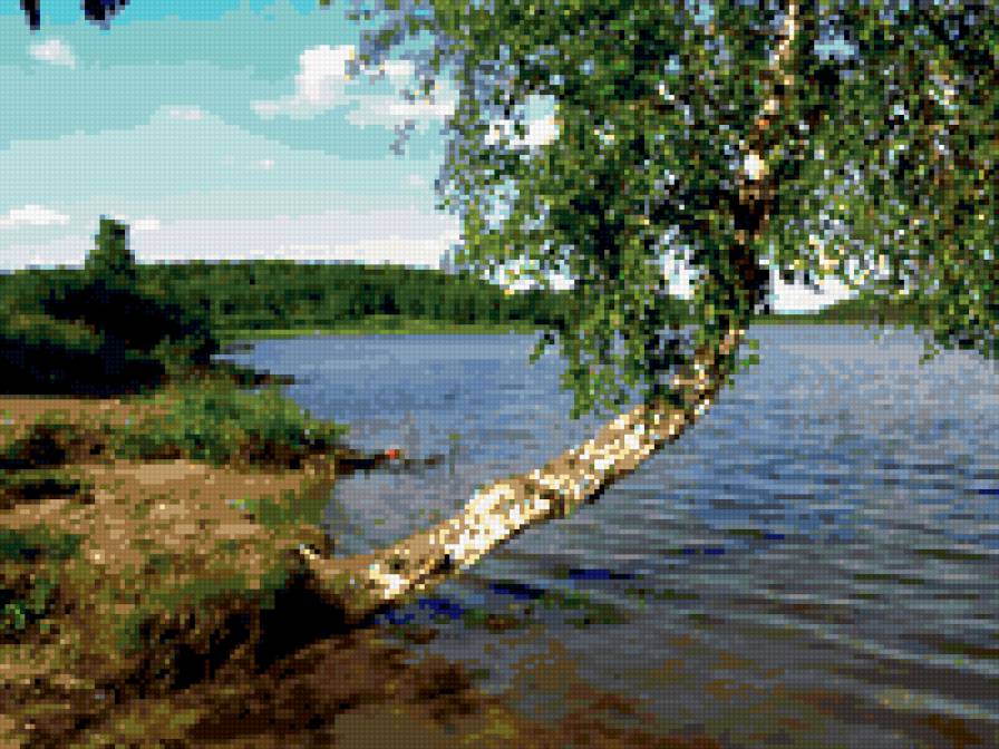 березка над водой - пейзаж, вода, береза - предпросмотр