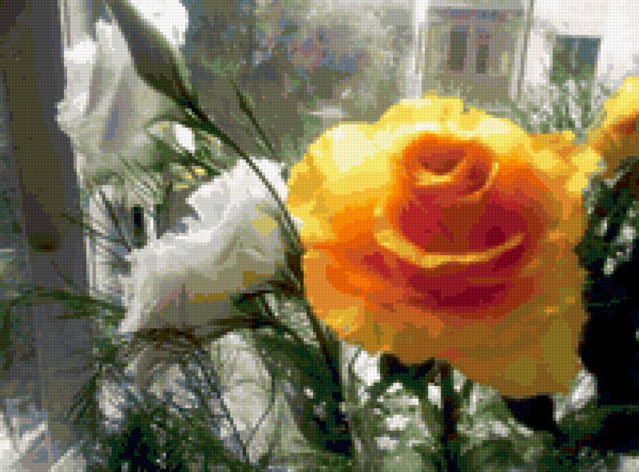 букет - букет, цветы, роза - предпросмотр