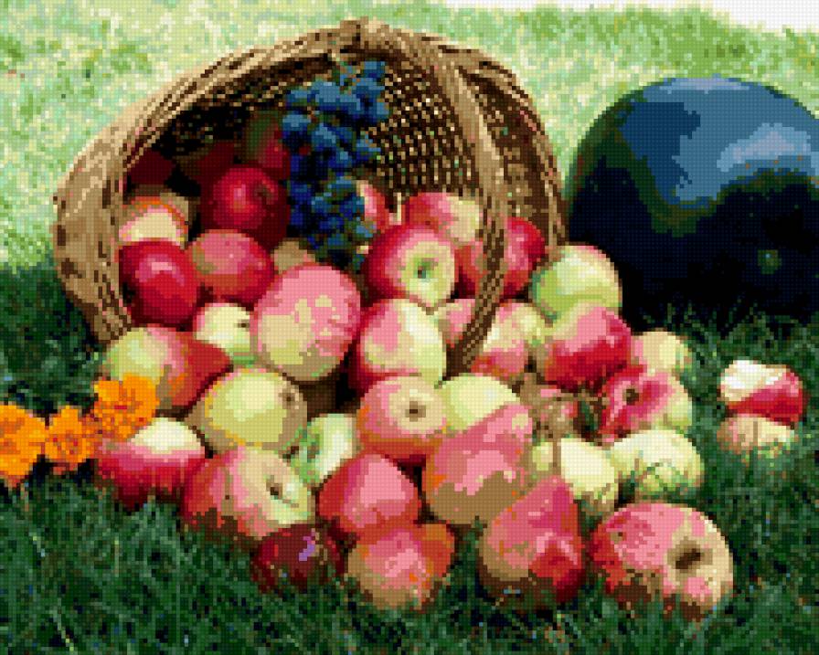 яблоки - фото, картина, яблоки - предпросмотр