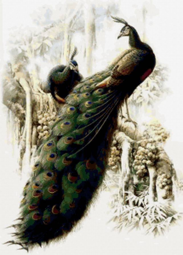 Серия "Птицы" - растение, птицы, природа - предпросмотр