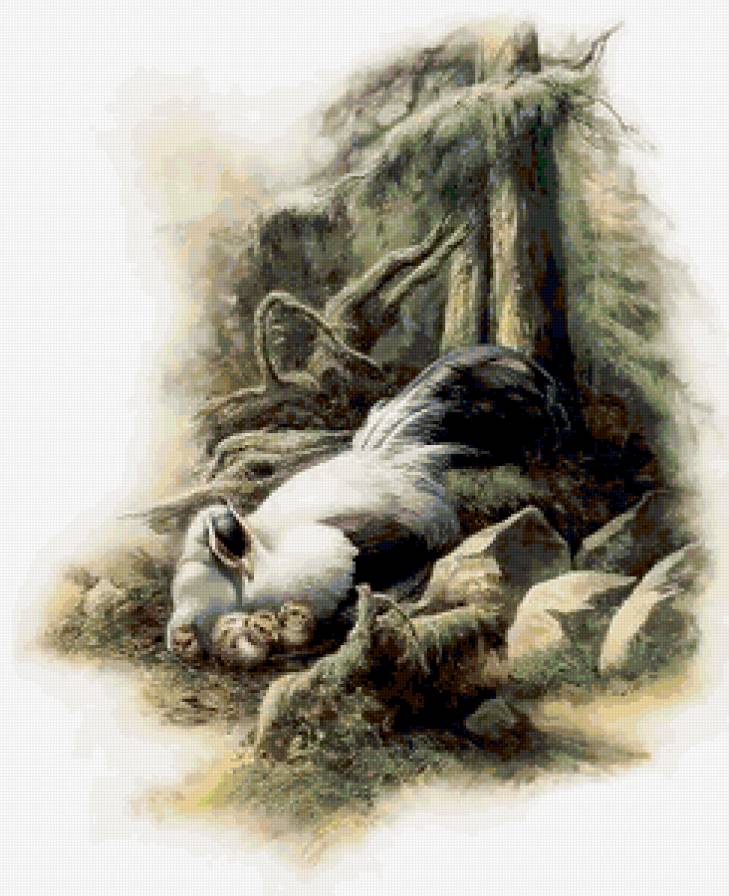 Серия "Птицы" - растение, природа, птицы - предпросмотр