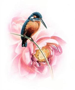 Серия "Птицы" - природа, птицы, растение - оригинал