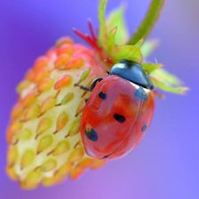 Схема вышивки «0»