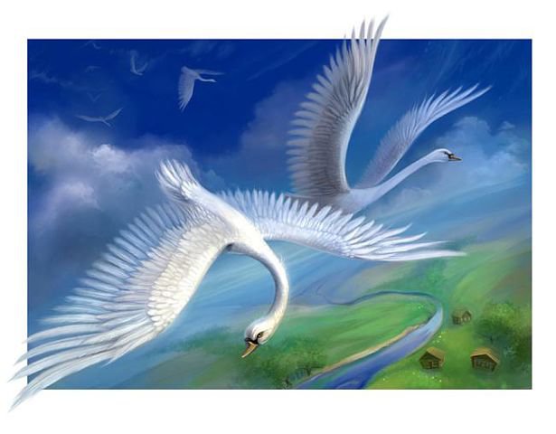 Лебеди - птицы - оригинал