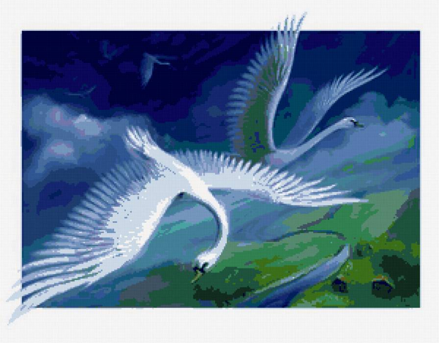 Лебеди - птицы - предпросмотр