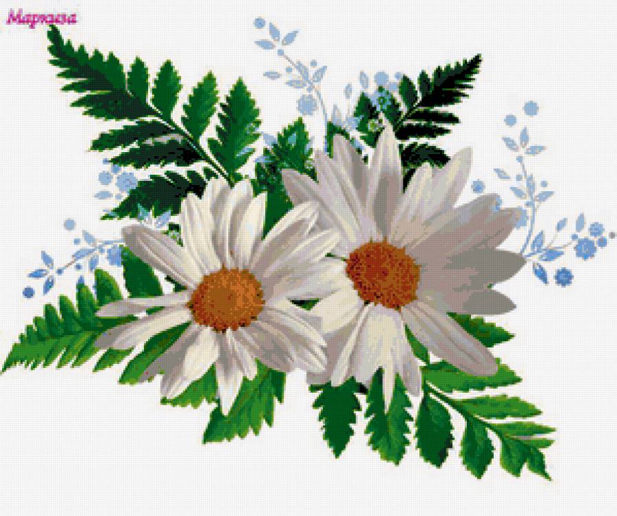 Ромашки - картина, цветы, ромашки, букет - предпросмотр