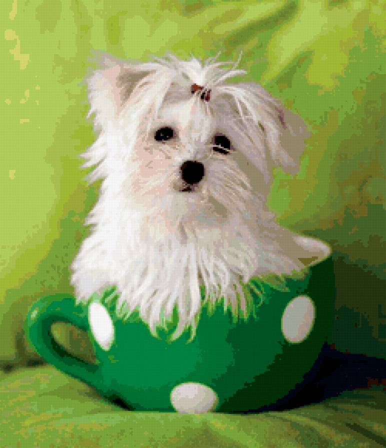 серия "собачки" - собачка.чашка - предпросмотр