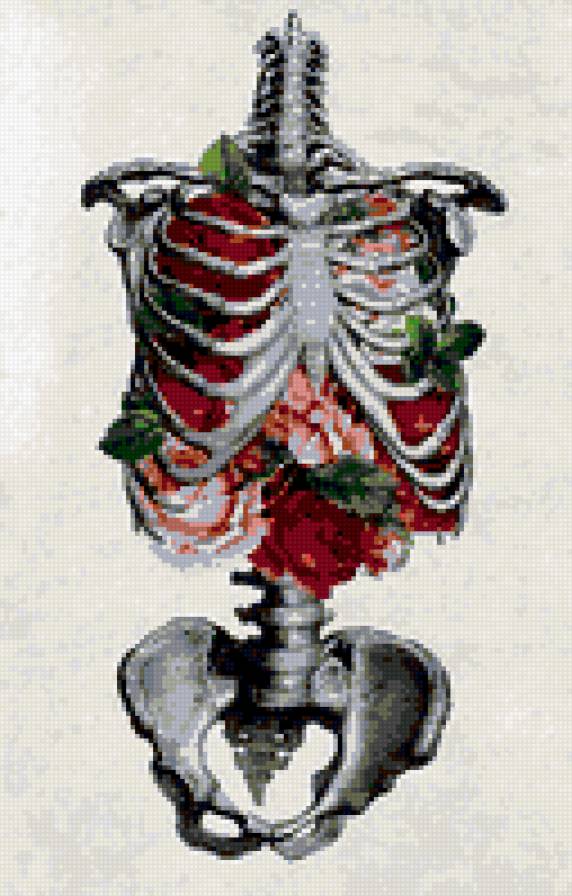 Цветы смерти - розы, ребра, скелет - предпросмотр