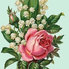 Схема вышивки «ландыш белоснежный,розан аленький»