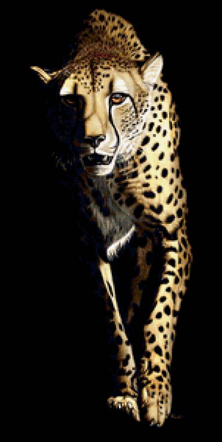 Гепард - гепарды, животные - предпросмотр
