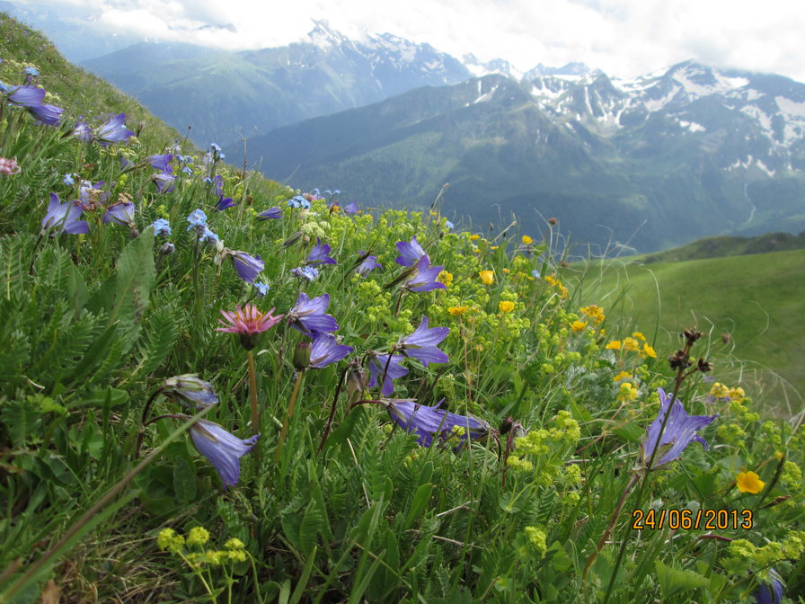 На  кавказе - оригинал