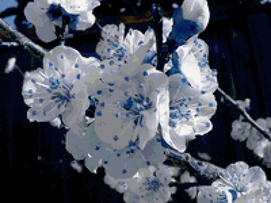 Цветущая ветка - ветка, цветы, сад - предпросмотр