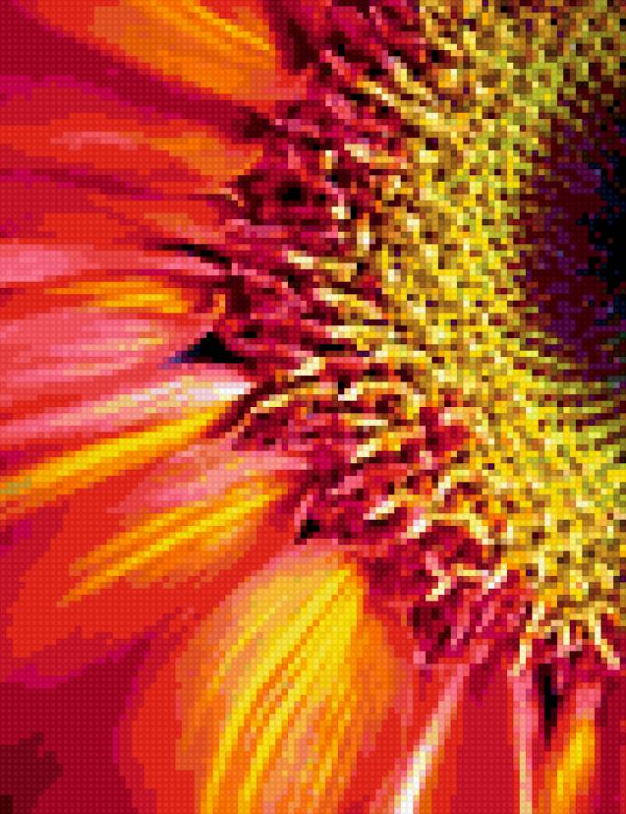 Цветок - цветы - предпросмотр