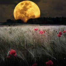 Схема вышивки «Лунная ночь»