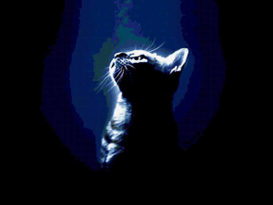 кошка в темноте - кошка - предпросмотр