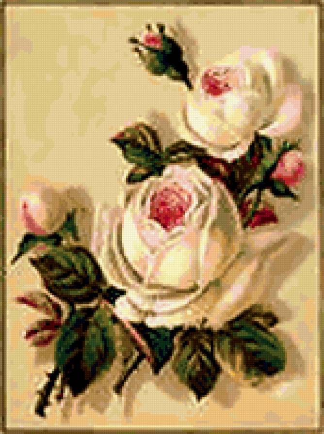 ветка - цветок, нежный, роза - предпросмотр