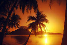 Схема вышивки «№408152»