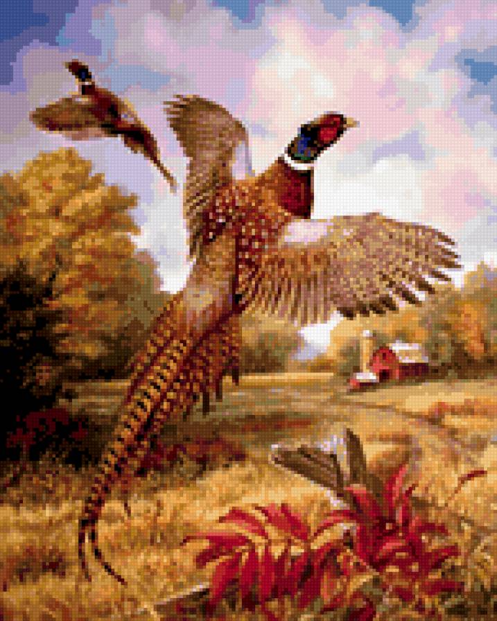 0130 - природа, красота, картина, лето, птицы - предпросмотр