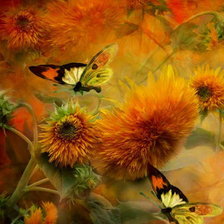 Бабочки с хризантемами