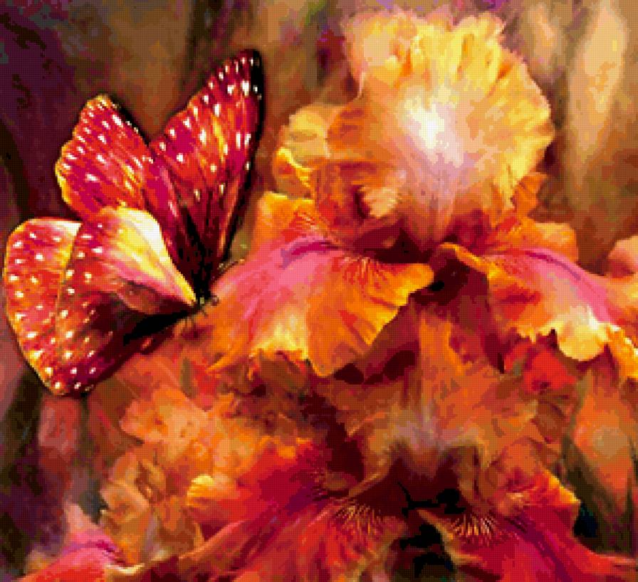 Бабочка с ирисом - цветы, бабочки, ирисы - предпросмотр