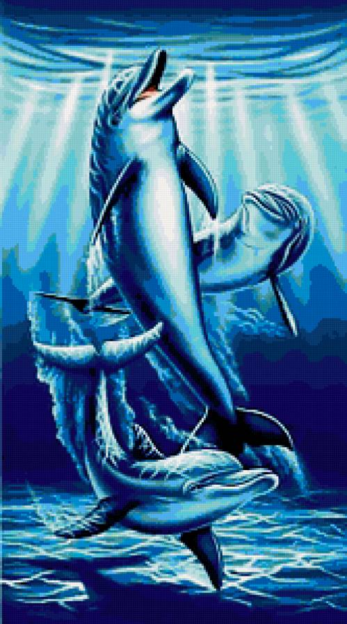 delfini - animals, delfini - предпросмотр