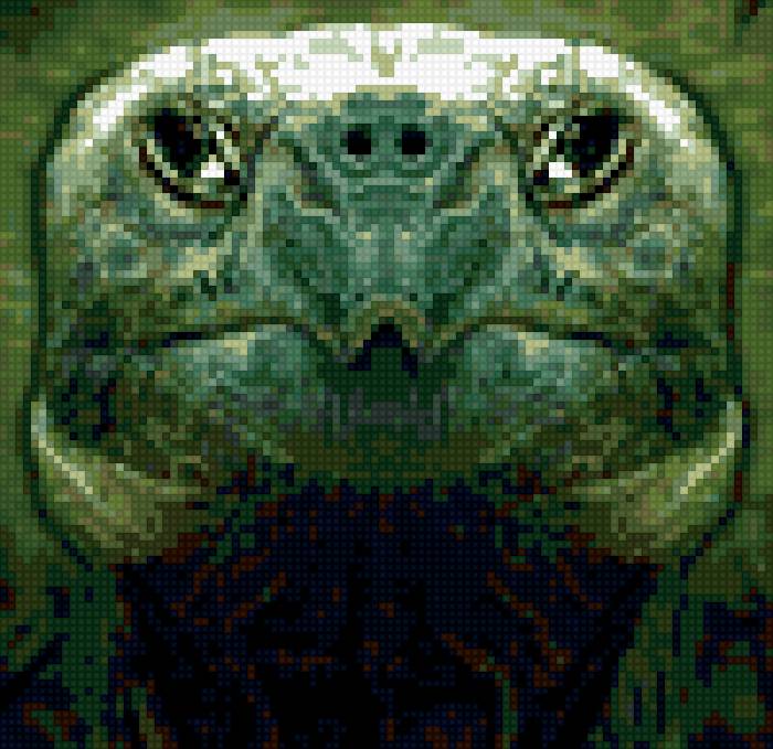 чарепаха - портрет черепаха - предпросмотр