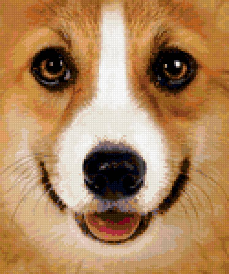 дружок - собачка собака щенок - предпросмотр