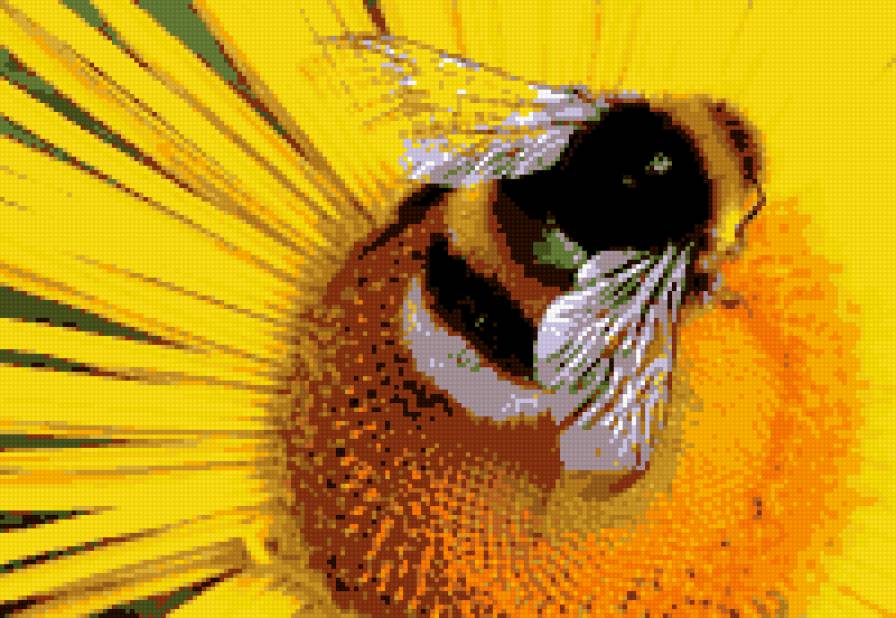 Пчелка - пчелка, цветы - предпросмотр