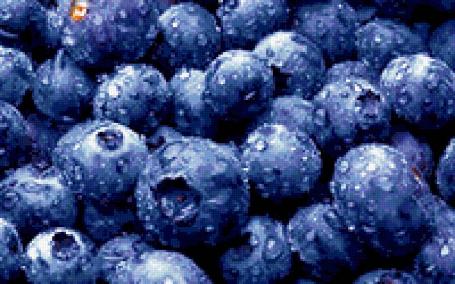 ягоды черники - фрукты - предпросмотр