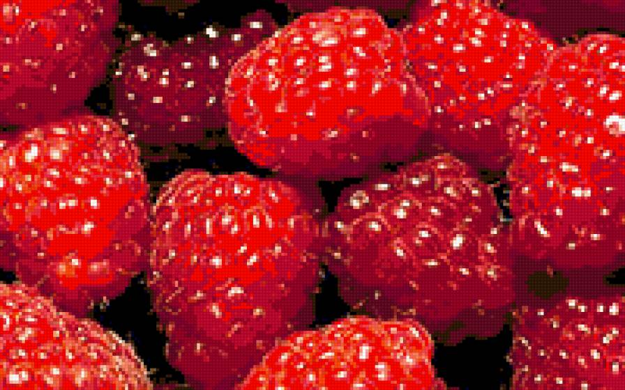 сочная малина - фрукты - предпросмотр