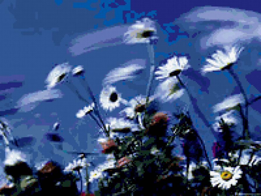 полевые цветы - цветы - предпросмотр