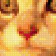 Предпросмотр схемы вышивки «кошка» (№408484)