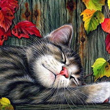 Схема вышивки «киса»