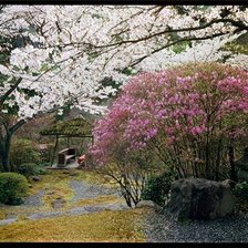Схема вышивки «японский сад»