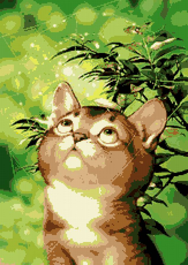 Милый котик. - кошки., животные - предпросмотр