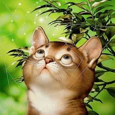 Схема вышивки «Милый котик.»