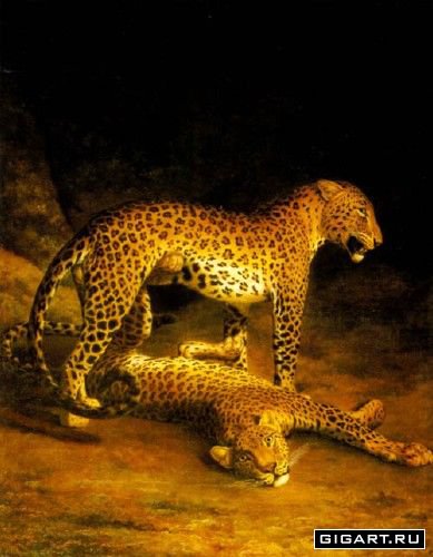 №408992 - кошки, животные, хищники - оригинал