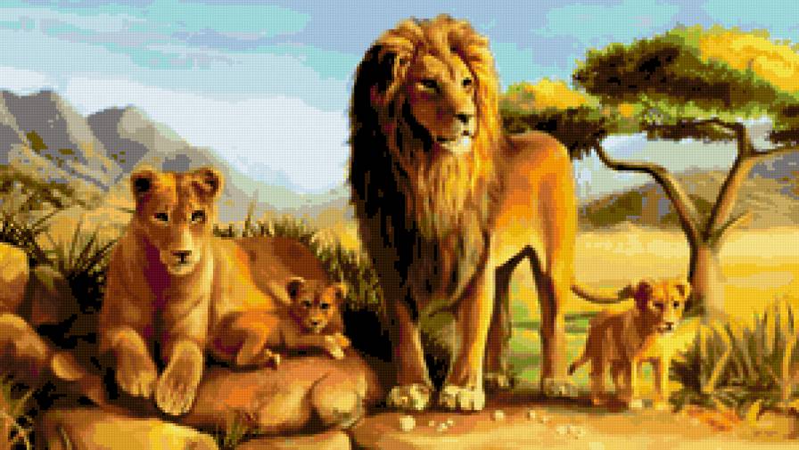 львы - хищники, кошечки - предпросмотр