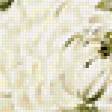 Предпросмотр схемы вышивки «хризантемы» (№409823)