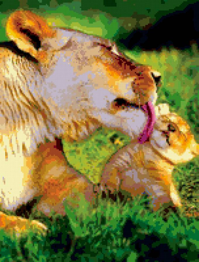 МАМА. - любовь., львы, животные - предпросмотр