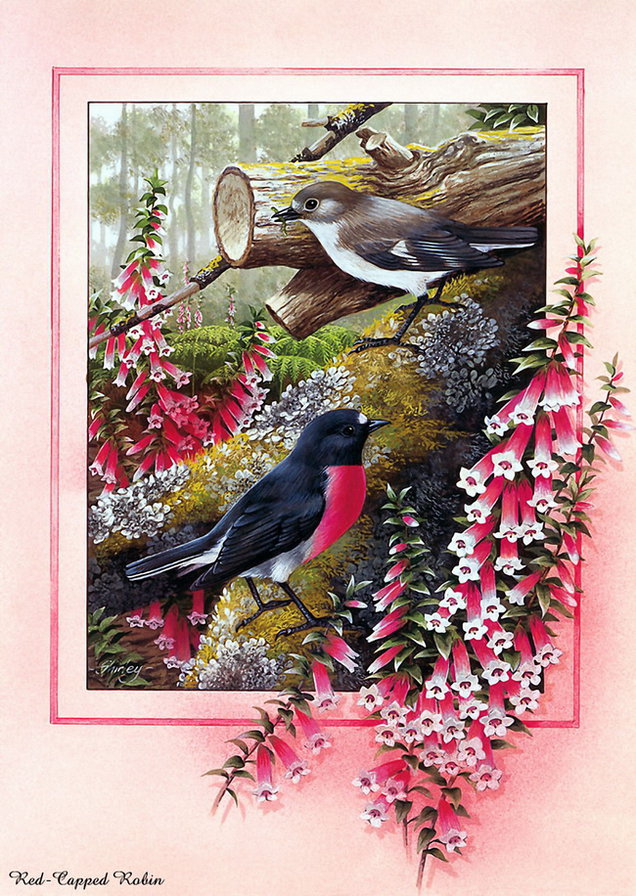 Серия "Птицы" - птицы, цветы, пейзаж - оригинал