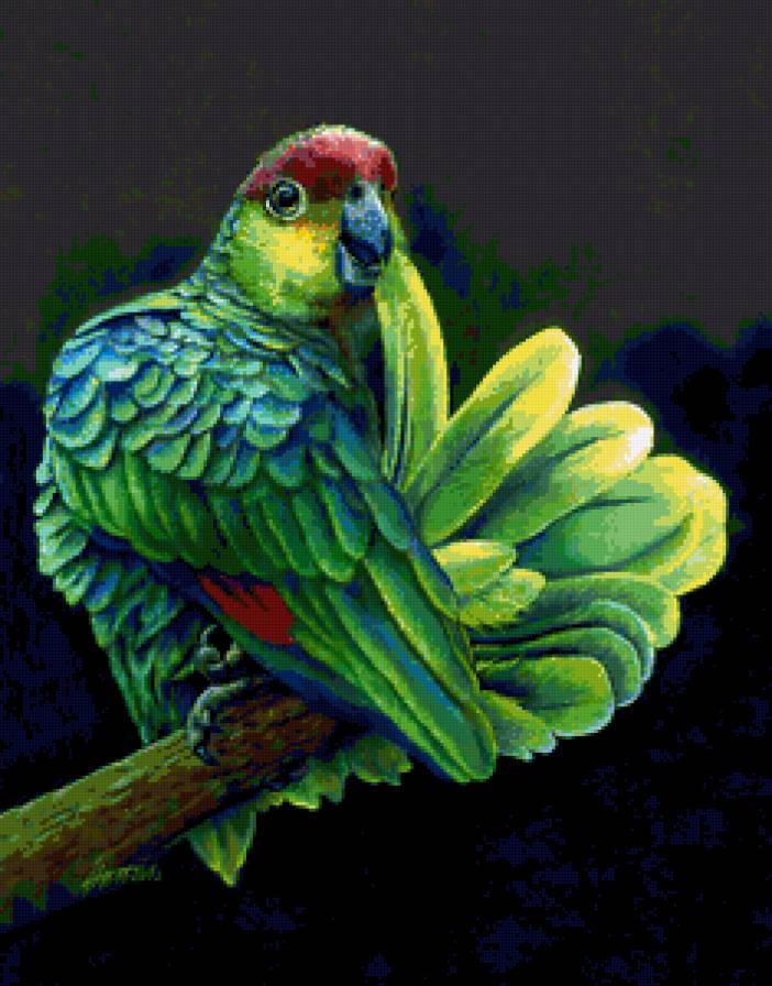 Серия "Птицы" - попугаи, птицы - предпросмотр