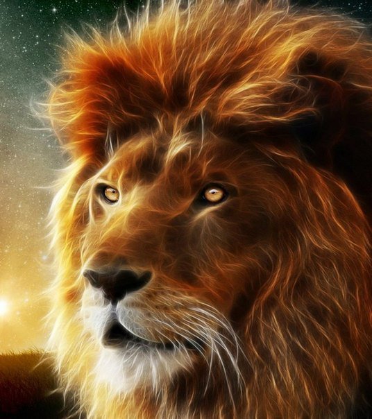 Огненный лев. - лев, животные. - оригинал